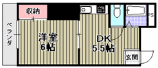ppXiy 206 